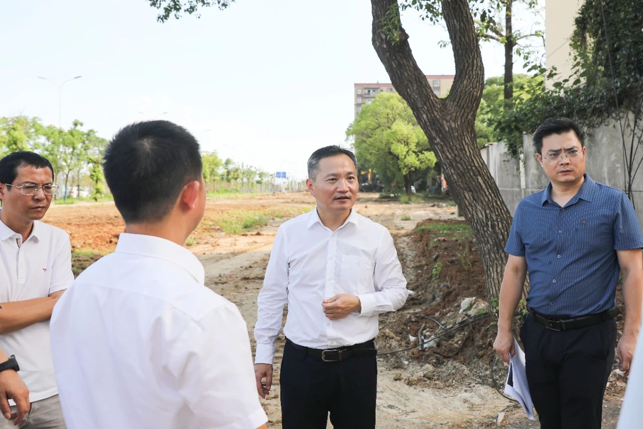 杨育星实地督导城市环境综合整治提升工作