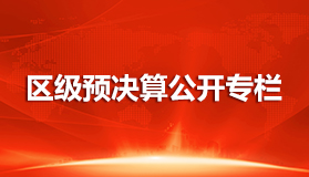 区级预决算公开专栏