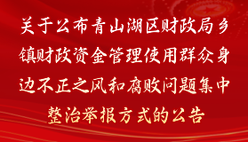 关于公布pc28预测
财政局乡镇财政资金管理使用群众身边不正之风和腐败问题集中整治举报方式的公告